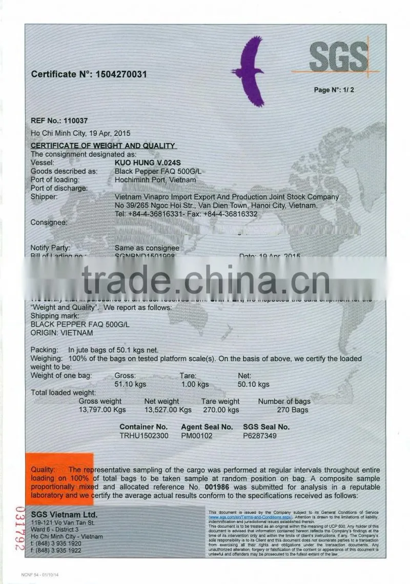 HIGH QUALITY OF BLACK PEPPER