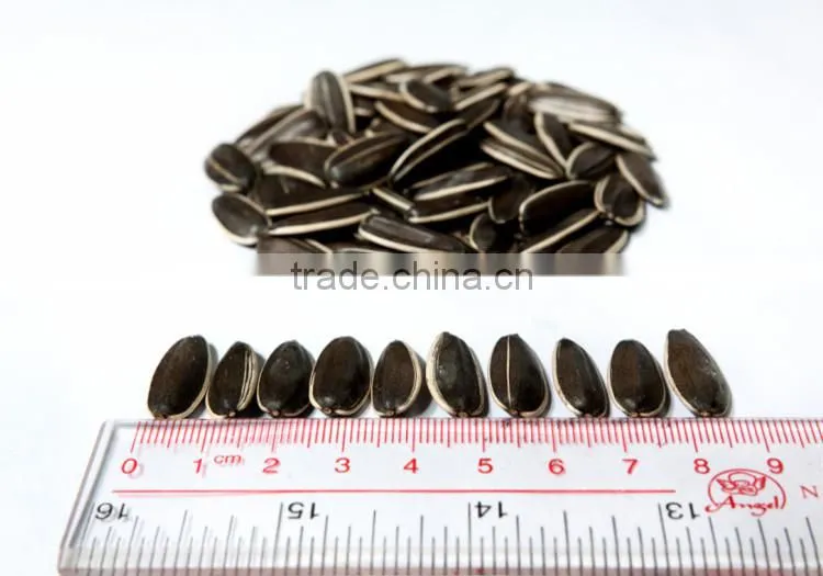 24/64 25KG sunflower kernels in pack