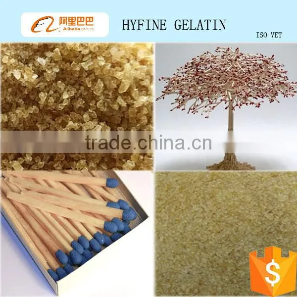 Match glue/industrial bovine organic gelatin powder for match