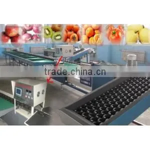Best Seller Automatic fruit sorting machine for apple, orange ,pear,peach,persimmon,kiwifruit