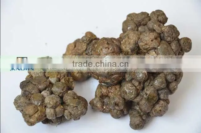 Good price Propolis capsule bee propolis
