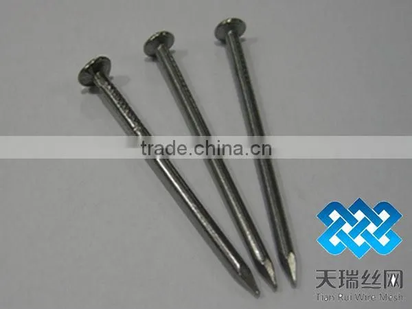 Galvanized iron nails (factory)