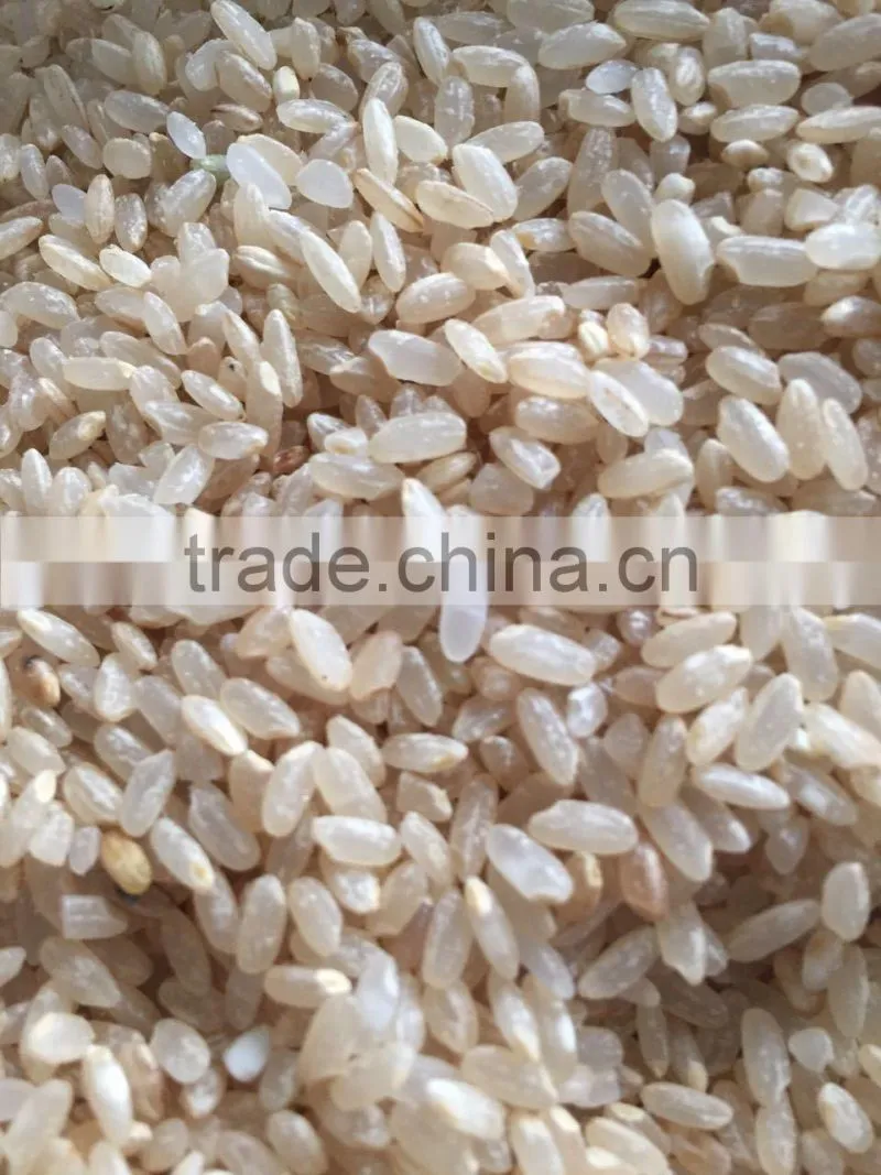 Grain polisher