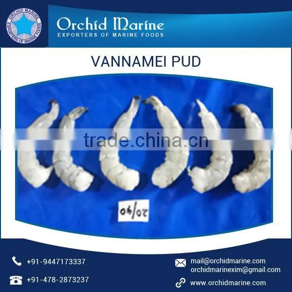 Most Demanded Flavored Vannamei HLSO Shrimps for Sale