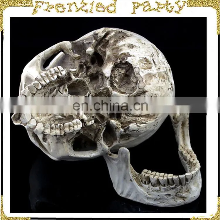 wholesale simulation decorative party skull FGHS-0006
