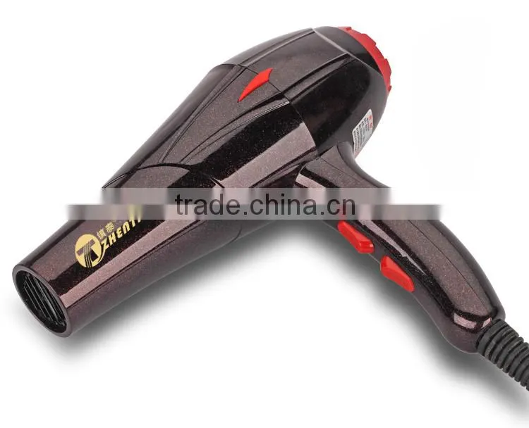 220V Professional Salon Hair Dryer for Woman