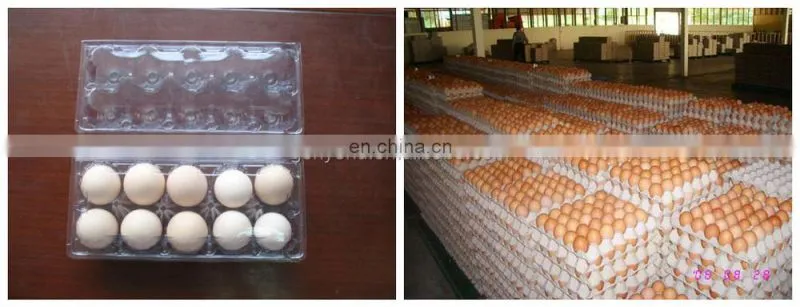Automatic hen egg cleaning and checking line / egg processing machine
