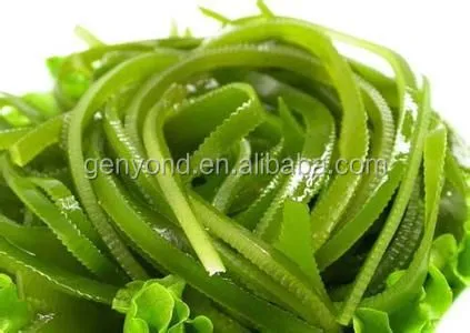 Seaweed Washing Machine/Industrial Washing Drying Machine/seaweed Nitrate Packaging Machine