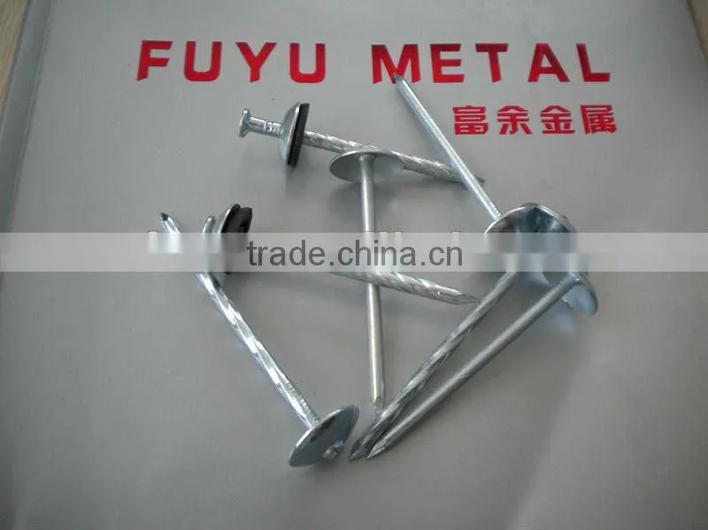 galvanized umbrella roofing nails factory