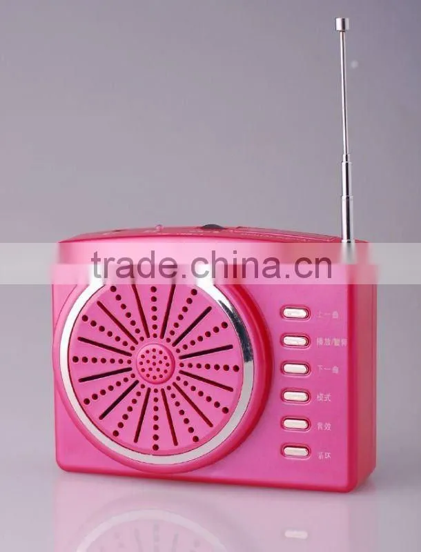 Waist portable megaphone