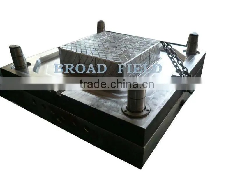 2011 Professional Associated with injection mould design
