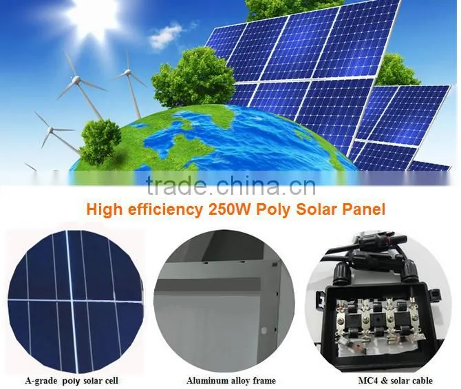 Good Price and High efficiency 250W Poly Solar Panel
