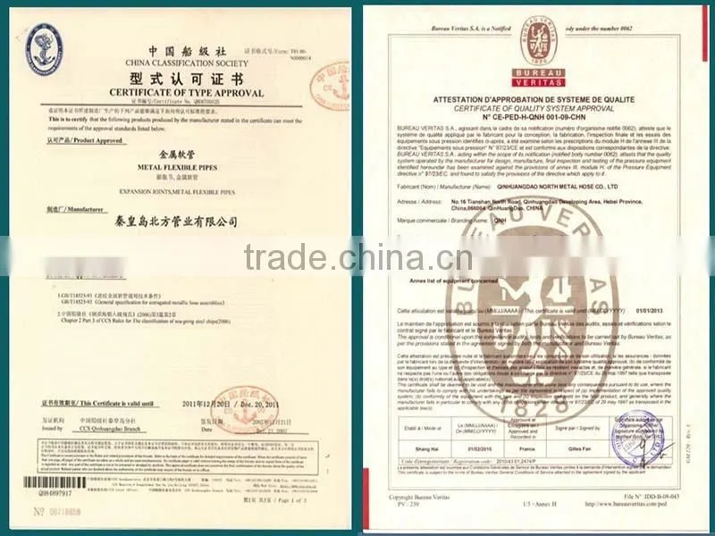 DIN Carbon/ Stainless/Alloy Steel standard flange Manufacturer