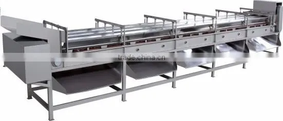 FJJ factory direct sales classifer of fruit