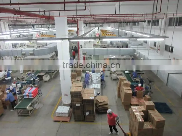 Chiaus (Fujian) Industrial Development Co., Ltd. company overview - view 4