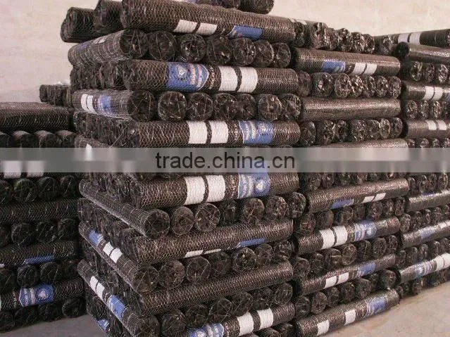 25mm x 1.2m x 25m Gi Hexagonal Wire Mesh For Dubai Market/Chicken wire mesh rolls