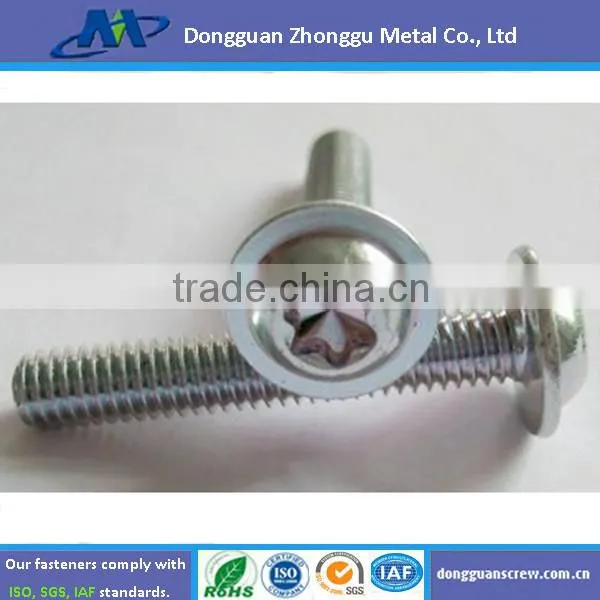 China factory supply high-end quality and low price Dongguan Torx Screws
