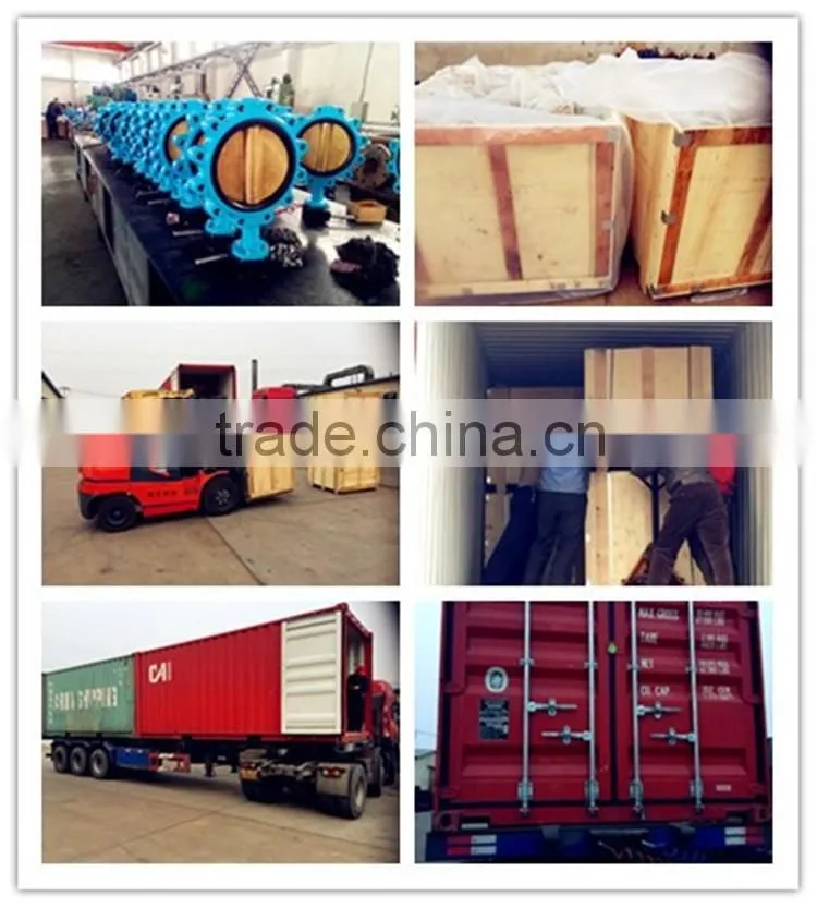 PTFE Lined Lug Butterfly Valve