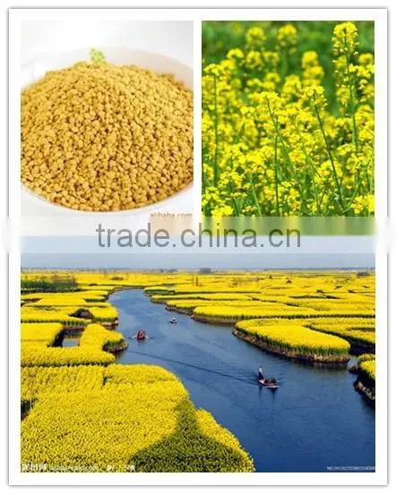 2014 Fresh Best Quality Bulk Mixed Bee Pollen