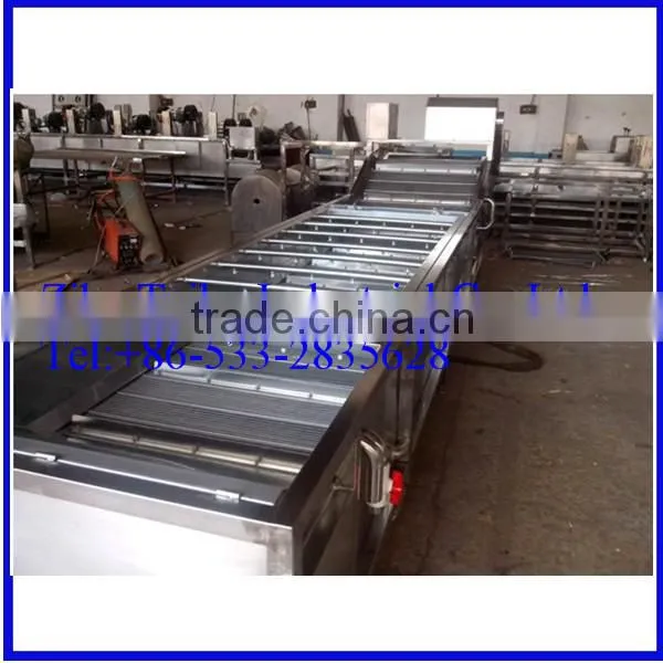 Stainless Steel Automatic Mango Washing Machine