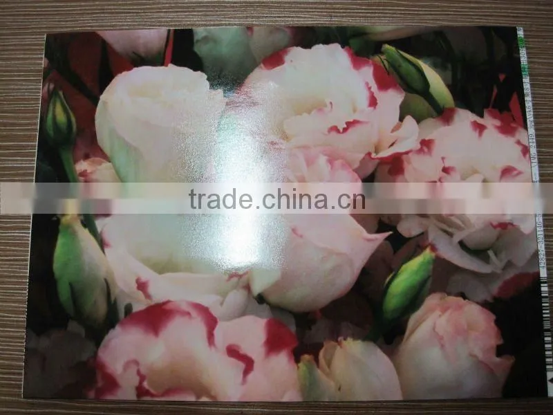 UV coating Roll laminator