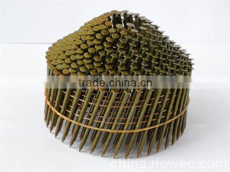 Plastic cheap concret nail with 30 years quality cetification