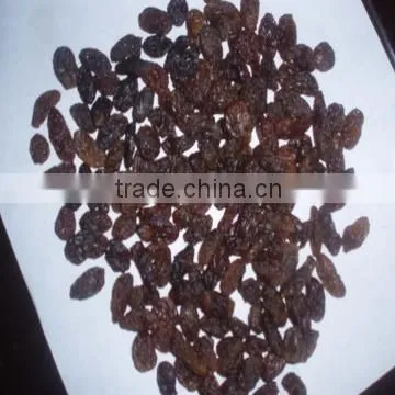 Xinjiang origin kinds of sultanas raisins