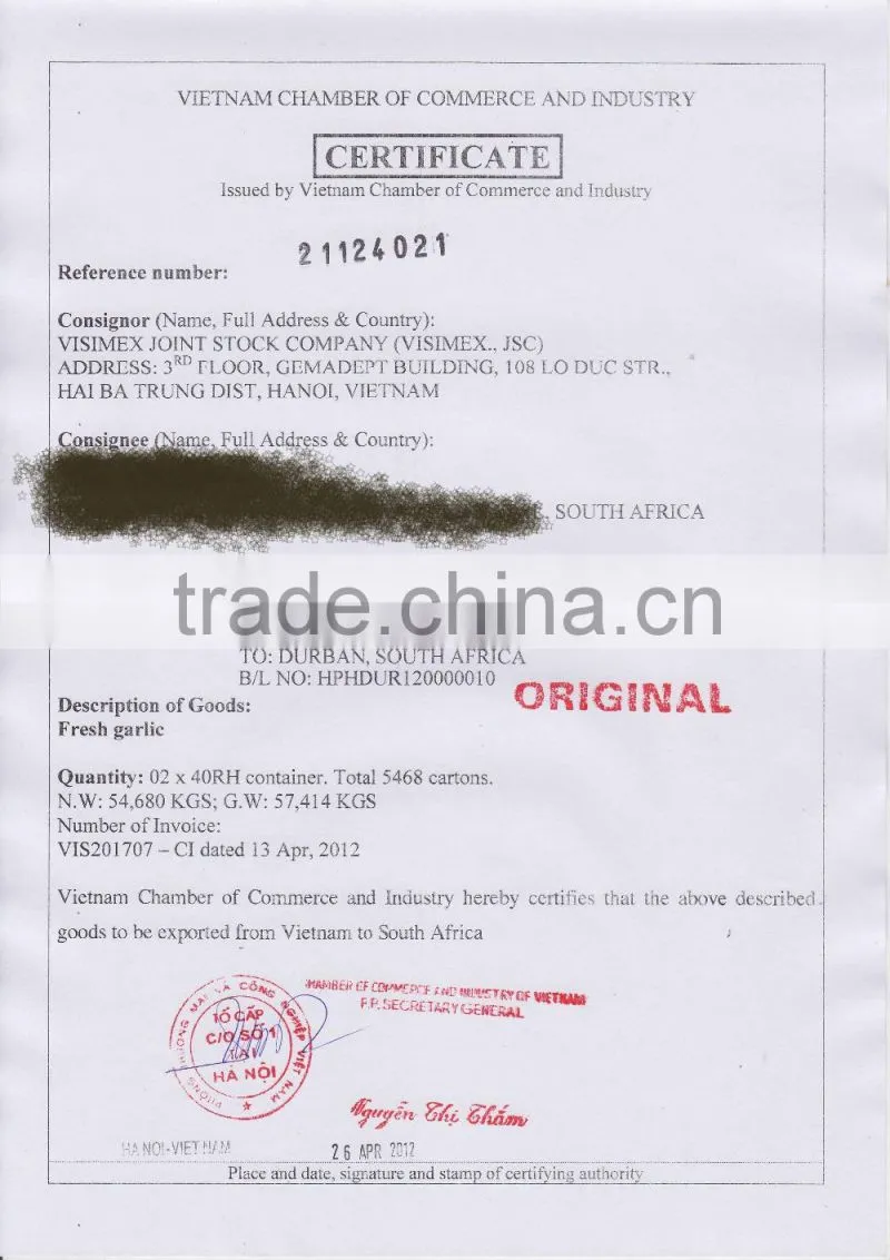 WHITE GARLIC (SKYPE: VISIMEX10)