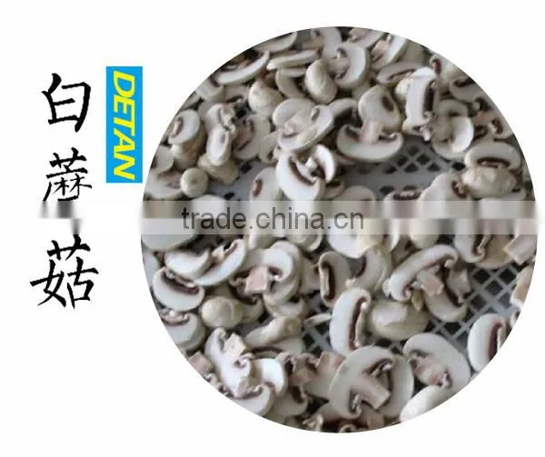 Slicing Frozen Champignon Mushroom/white button mushroom