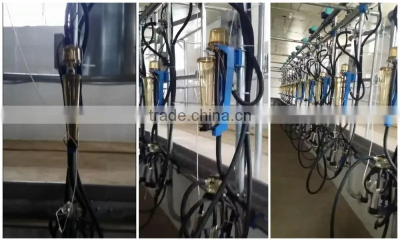 Dairy Farming Milking Equipment Automatic Milking Parlor