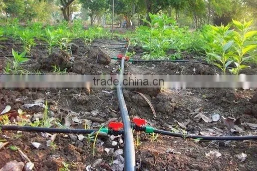 Drip Irrigation Pipe