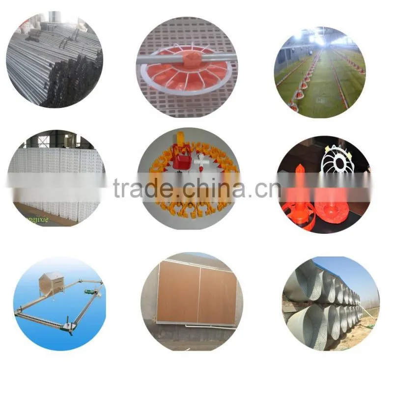broiler feeder pan system for poultry farm