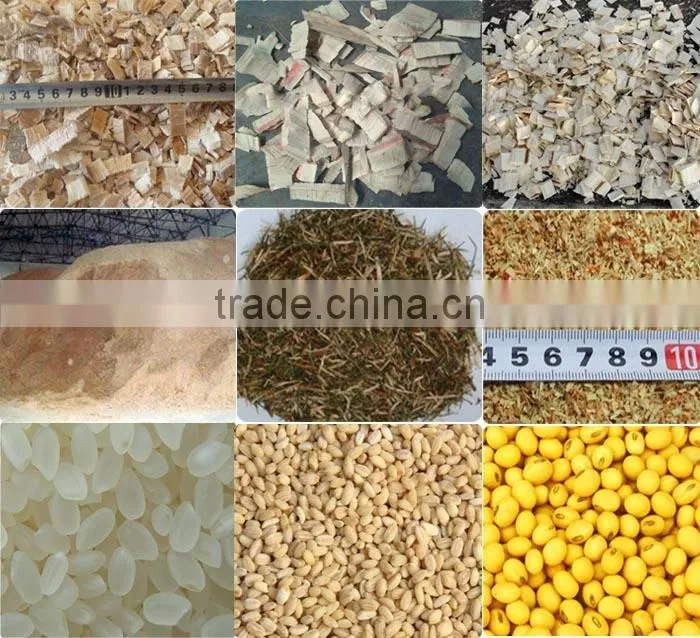 Professional manufacturer rice paddy dryer/seed grain dryer