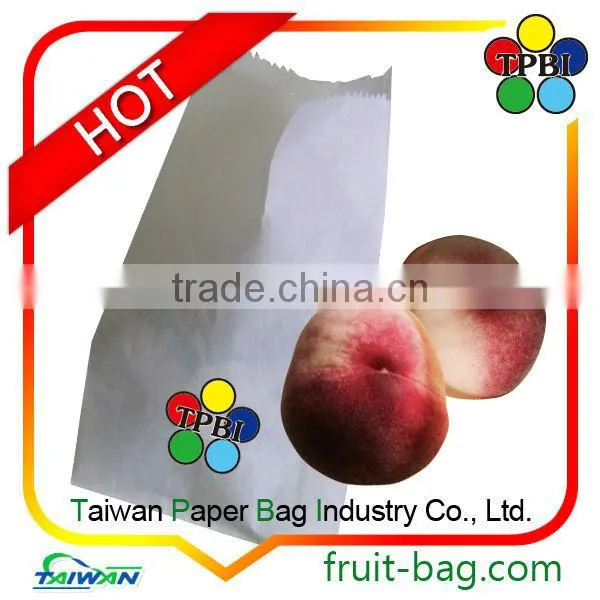 carambola paper star fruit growing paper bag