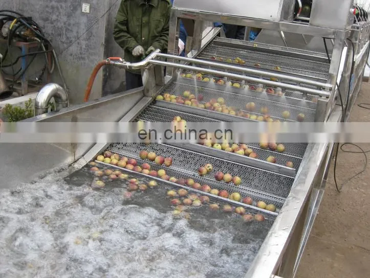 Fruits and Vegetables Washing machine, air and water bubble vegetable washing machine