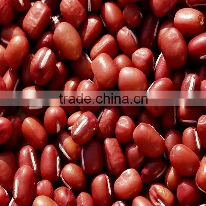 small red bean ( organic )