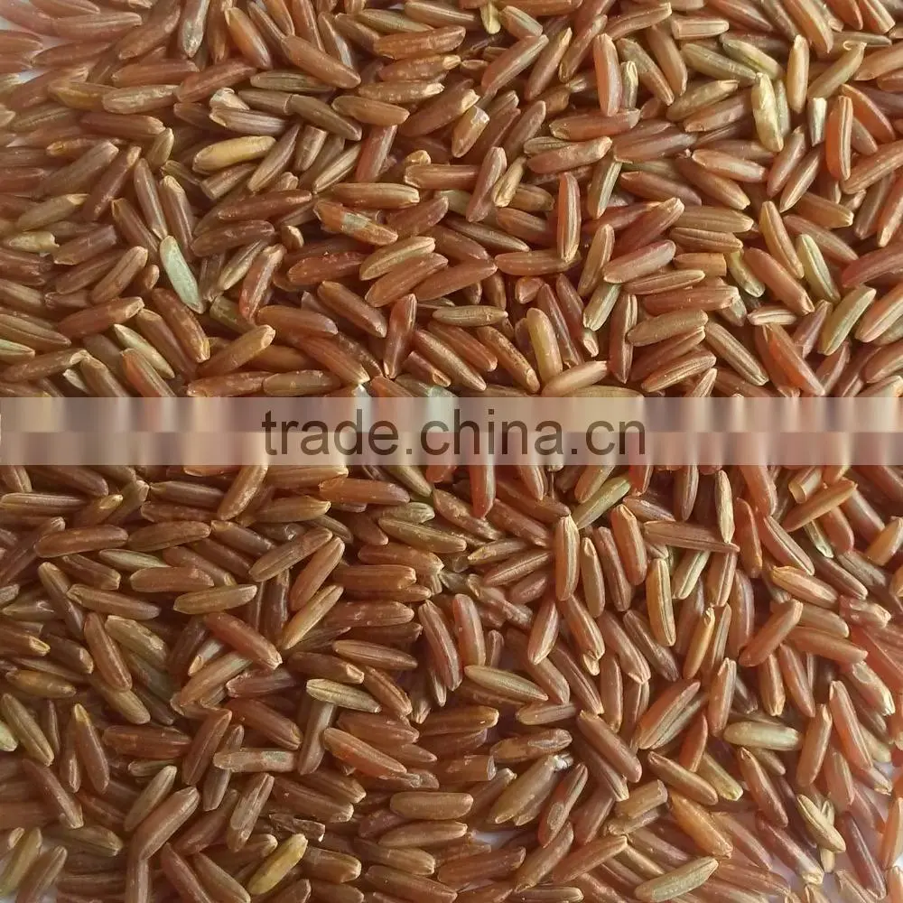 Organic steamed brown rice