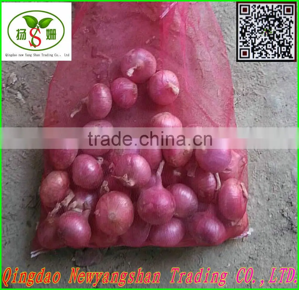 (CHINA) Fresh onion exported to Japan, Singapore, Europe and the United States