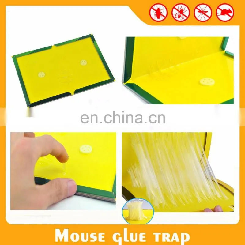 Trapper Glue Boards fly trap snake trap mouse glue trap