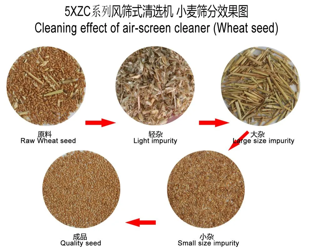 5XZC筛分效果图-小麦