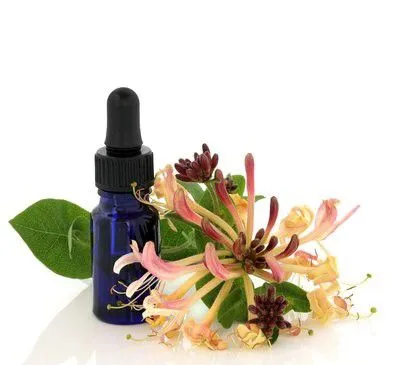 100L - 500L Honeysuckle Plant Flower Leaf Essential Oil Extractor Extraction Machine Essential Oil Distillation Equipment