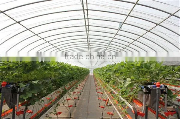 low cost greenhouse tunnel