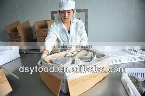 high quality frozen tongue sole fish