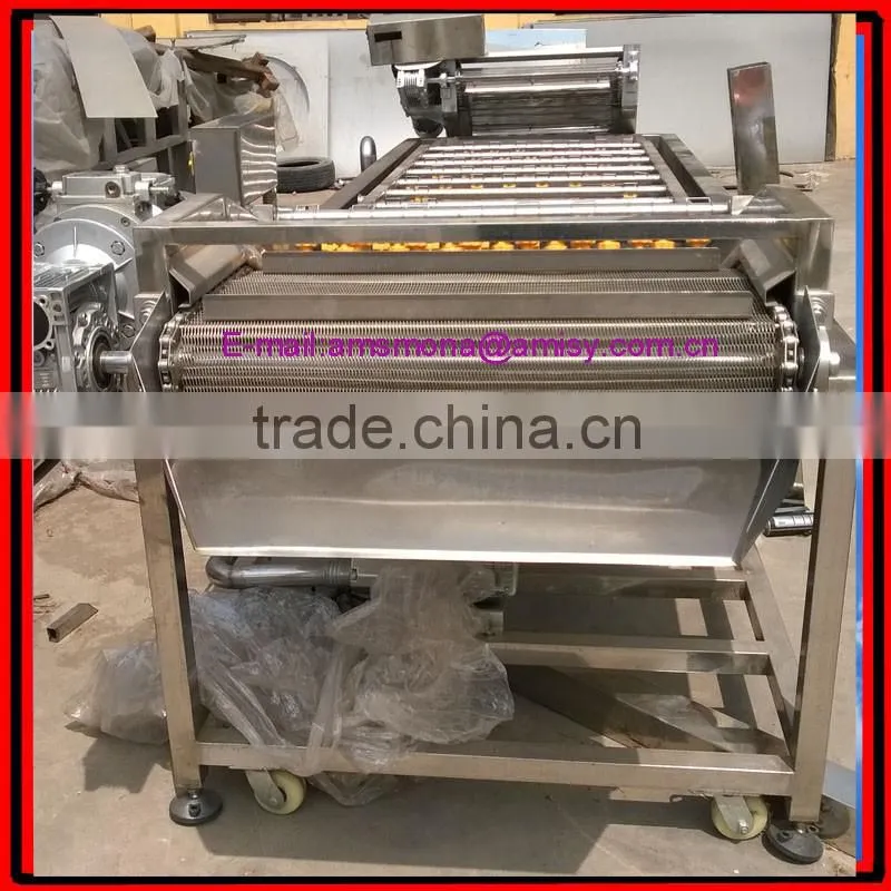 Blueberry/Mushroom/Agaric/Tremella/Date/Potherb Washing and Cleaning Machine