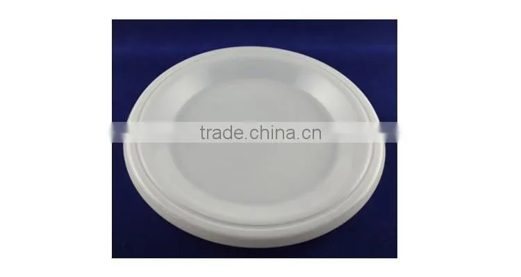 PP material transparent / white big disposable plastic plate