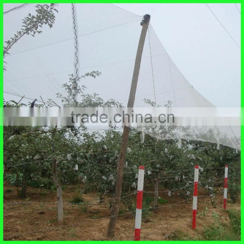 drape over grape trees UV treated PE hail guard nets