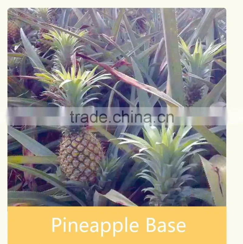 Wholesale Delisious Passion Fruit Concentrate