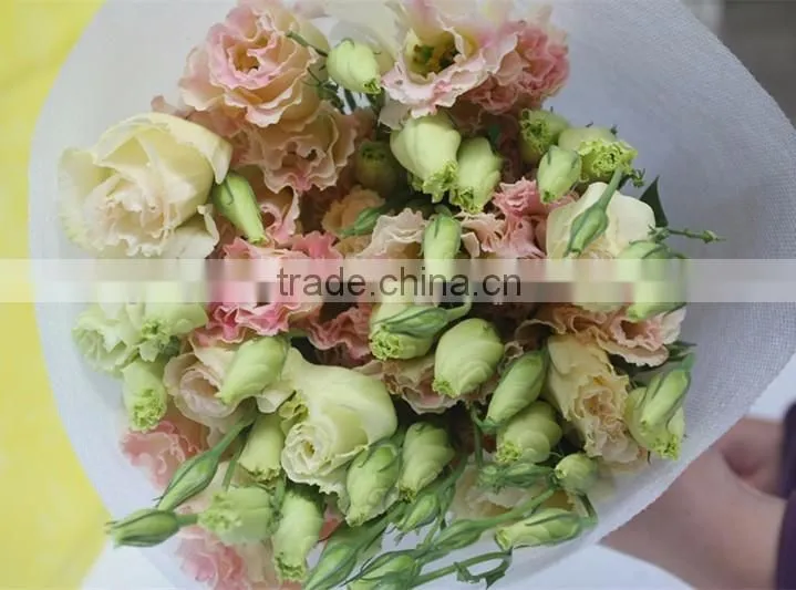 Wholesale top fresh eustoma flowers new product