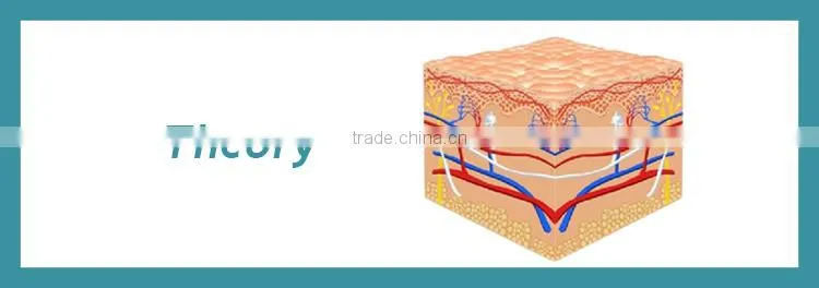 Professional portable beauty equipment with CE certificate