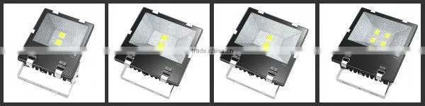 China factory factory price stadium golf project Meanwell driver 300W cree led flood light